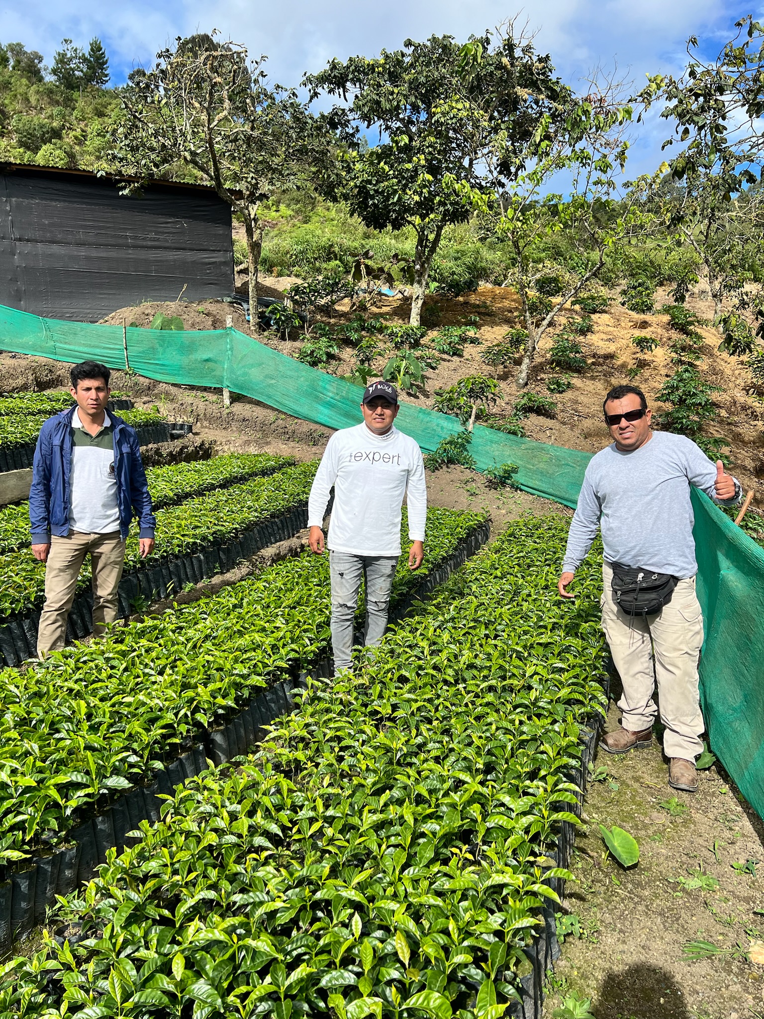 Cooperativa Agraria Cafetera Chirinos
