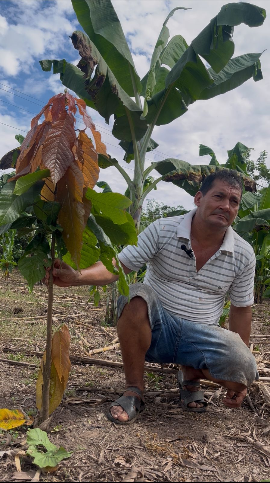 Cenorio Peña